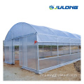 Green House Agriculture Productive Greenhouse for Mushroom